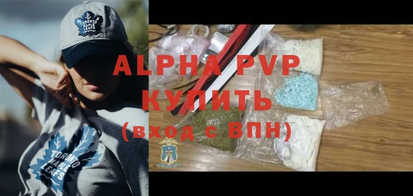 ГАЛЛЮЦИНОГЕННЫЕ ГРИБЫ Заволжье