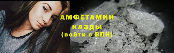 ГАЛЛЮЦИНОГЕННЫЕ ГРИБЫ Заволжье