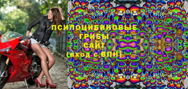 стафф Ельня
