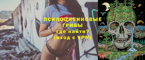 стафф Ельня