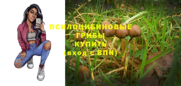 стафф Ельня