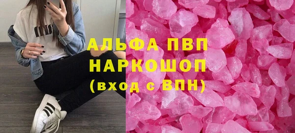 стафф Ельня