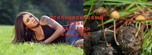стафф Ельня