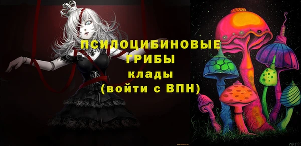 трава Елабуга