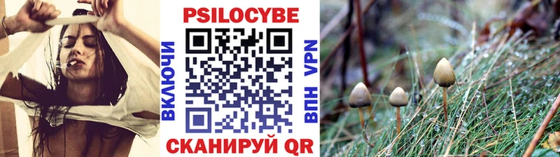 Псилоцибиновые грибы мухоморы  Купить  Саки 
